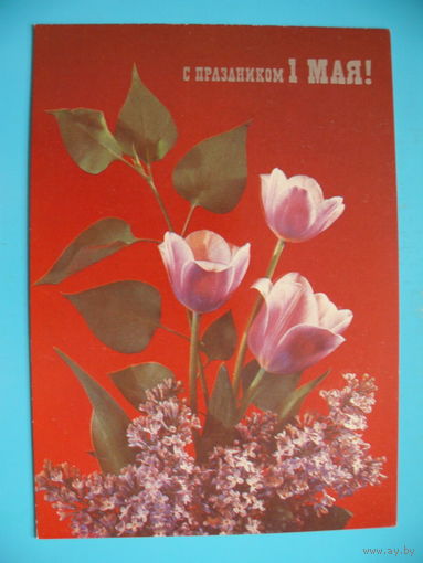 Дергилев И., С праздником 1 Мая! 1989, чистая.