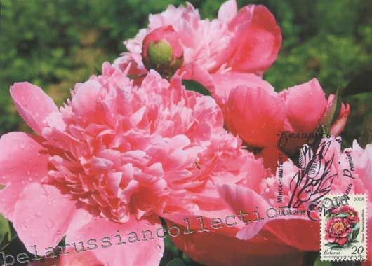 Картмаксимум "Цветы"