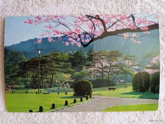 Япония. Парк Маруяма