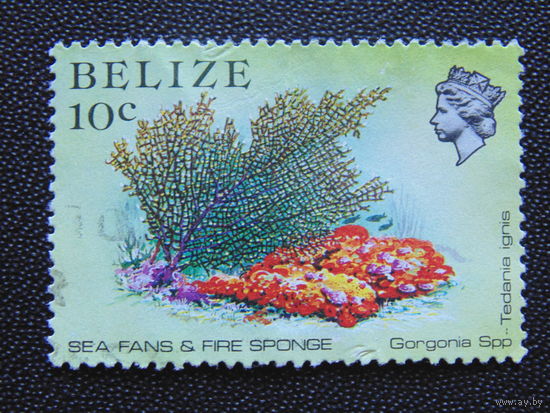 Британский Белиз 1984 г. Морская фауна.