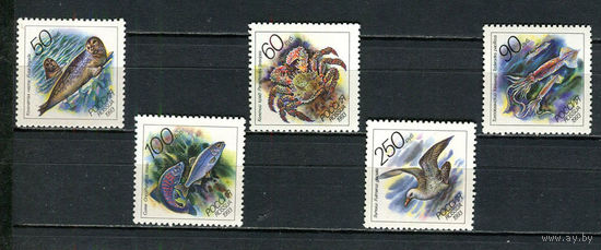 Россия - 1993 - Морская фауна - [Mi. 323-327] - полная серия - 5 марок. MNH.  (Лот 48JC)-TG3P54