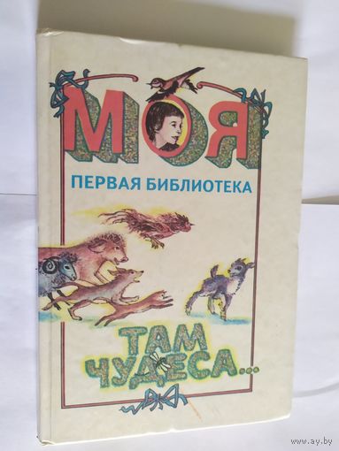 Моя первая библиотека\06