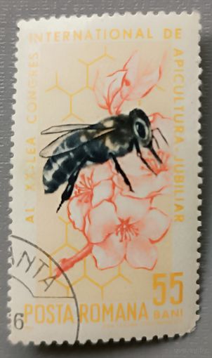 Румыния, 1965. Конгресс по пчеловодству. Пчела.