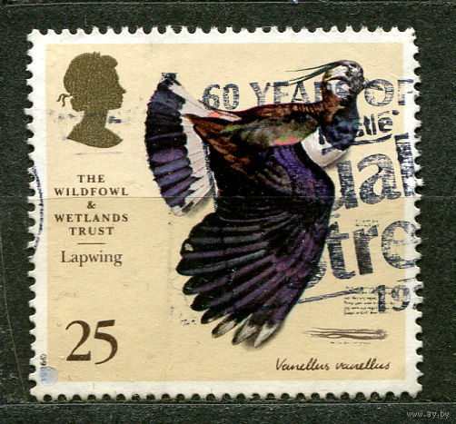 Птицы. Чибис. 1996. Великобритания