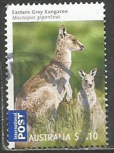 Австралия. Кенгуру с детёнышем. 2009г. Mi#3224.