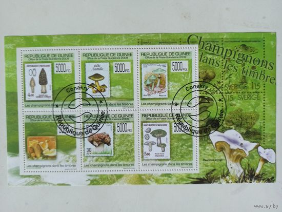 Гвинея. 2009. Грибы на марках