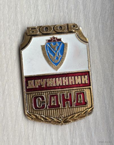 Знак БООР, Дружинник СДНД