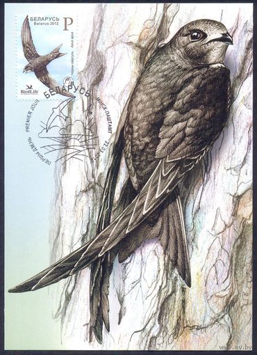 2012 Беларусь картмаксимум фауна птица года