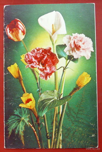С праздником! Чистая. Двойная. 1980 года. Костенко. 1510.