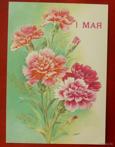 1 Мая! 1990 года. Чистая. Дергилев. 117.