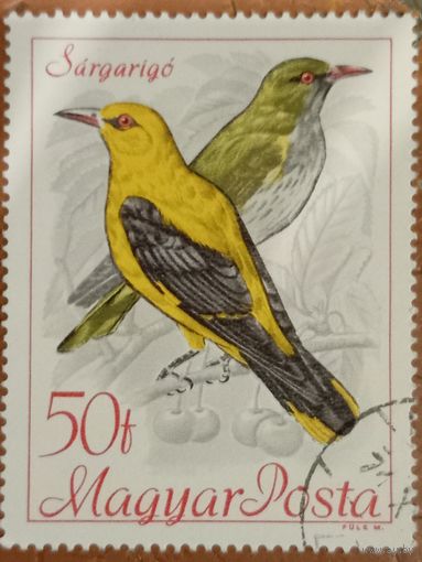 Венгрия 1986. Фауна. Птицы. Марка из серии