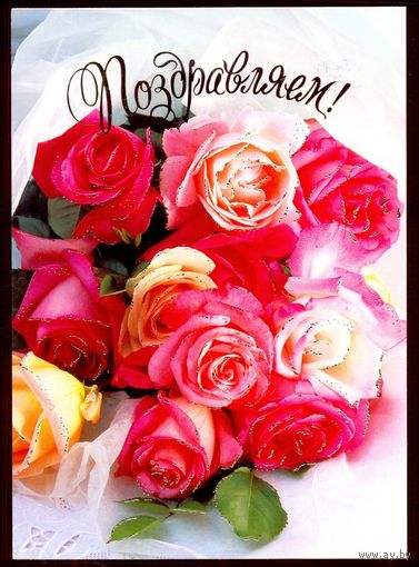 2003 ДМПК Беларусь Поздравляем