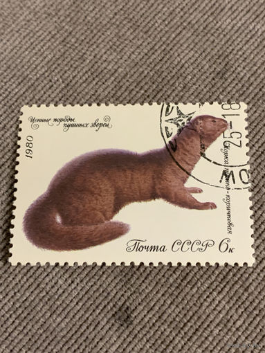 СССР 1980. Норка темно-коричневая. Марка из серии