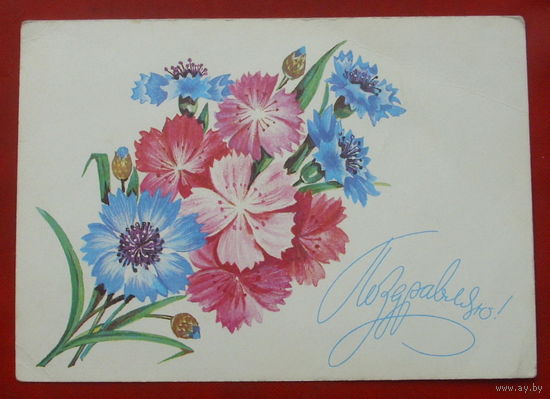 Поздравляю! Чистая. 1981 года. Мурахин. #197.