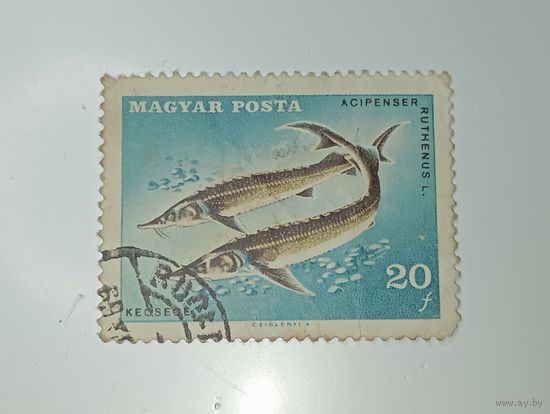 Распродажа коллекции с рубля ! Марка Венгрии  .