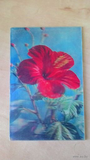 Стереооткрытка "Поздравляю!", 1981 год.