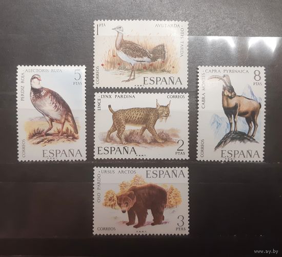 Испания. Фауна (514)