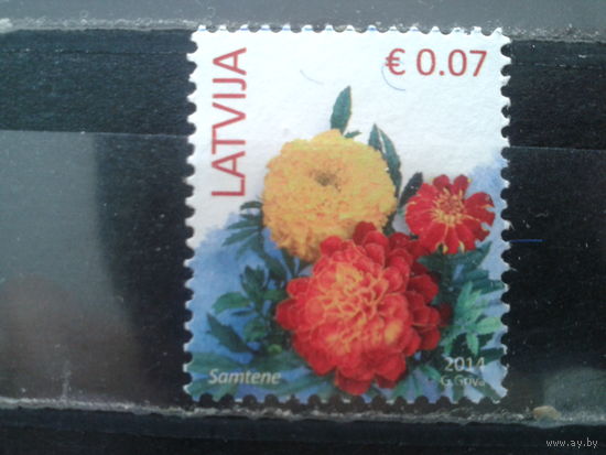 Латвия, 2014. Бархатцы