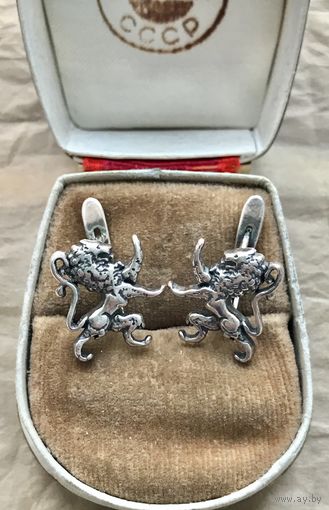 Серьги