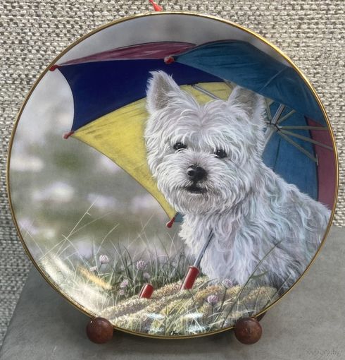 Фарфоровая настенная тарелка SammlerFactum Пикник. Германия. 20.5 см