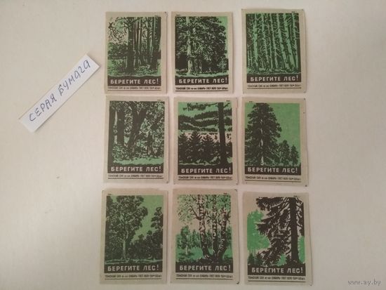Спичечные этикетки ф.Сибирь. Берегите лес. 1960 год