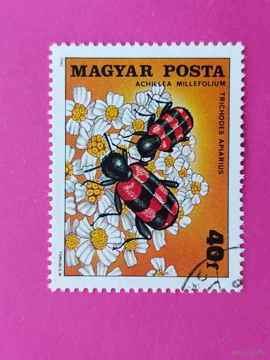 Венгрия. Насекомые. ( 1 марка ) 1980 года. 3-9.