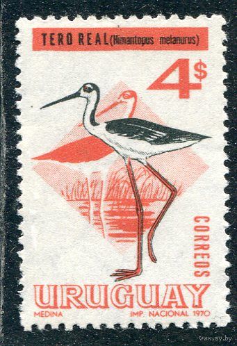 Уругвай. Фауна. Худолочник. В Красной книге России