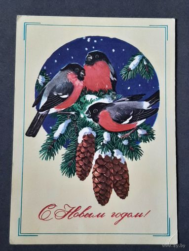 Чистая. С Новым Годом! Крутенко 1979 г.