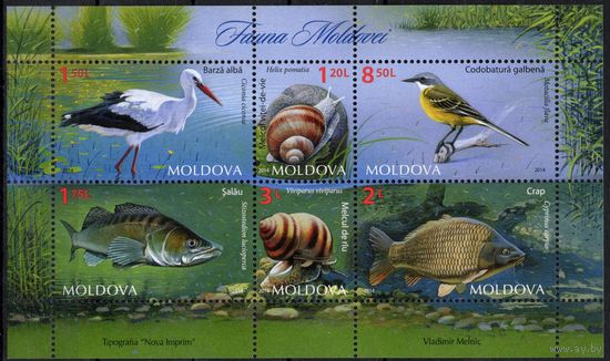 Молдова 2014. Фауна водоёмов. Птицы, рыбы, улитки. Блок (530)