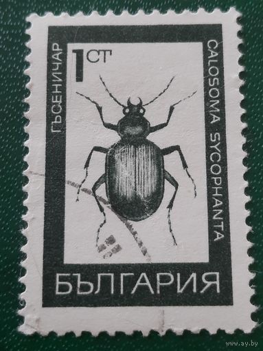 Болгария 1968. Жуки. Calosoma Sycophanta. Марка из серии