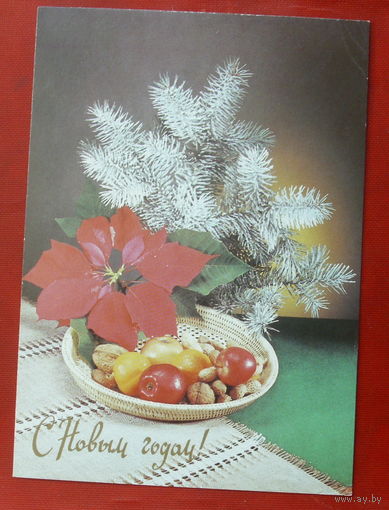 С новым годом! Чистая. 1990 года. Фото Киндровой. 251.