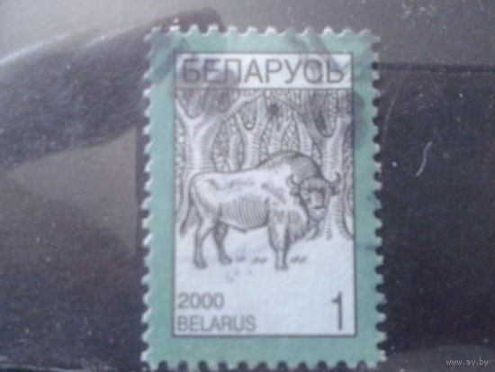 2000 Стандарт, зубр