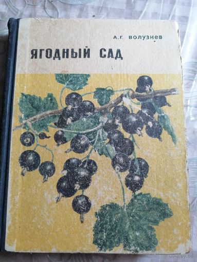Ягодный сад.