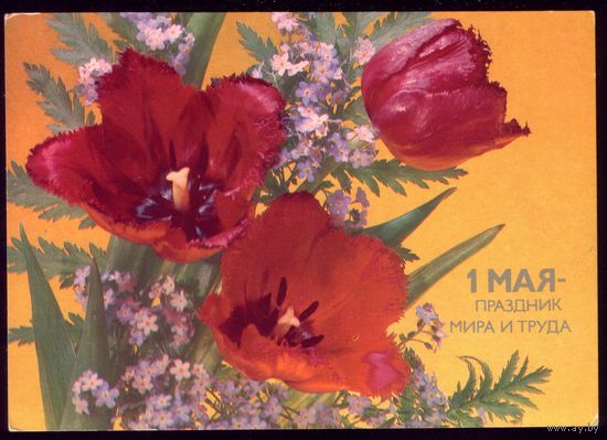 1986 год И.Дергилёв 1 мая праздник труда чист