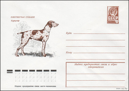 Художественный маркированный конверт СССР N 13055 (29.08.1978) Охотничьи собаки  Курцхар