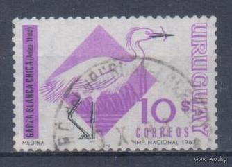 [2076] Уругвай 1968. Фауна.Птицы.Цапля. Гашеная марка.