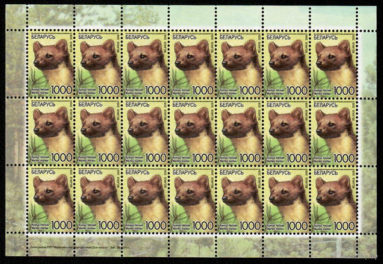 Беларусь. 2008. Стандарт. Куница лесная (1000р) (з.26-2010) Лист