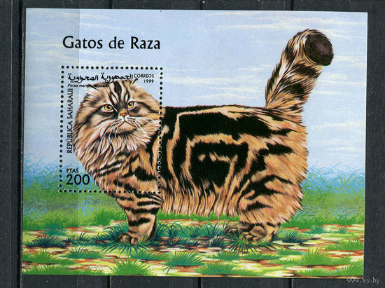 Сахара - 1999 - Коты - (незначит. помятость) - 1 блок. MNH.  (Лот 59JH)-TG2P21
