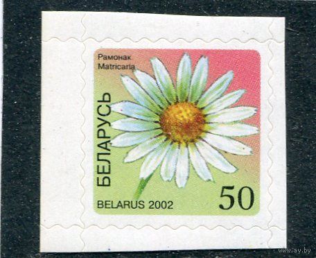 Беларусь 2002. Стандарт. Цветы. Ромашка