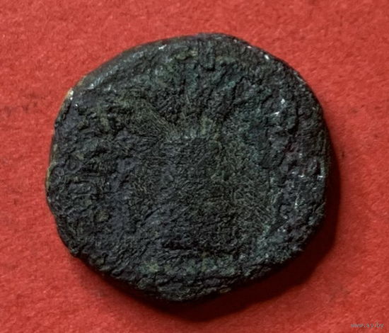 Антика, неизвестная монета 3