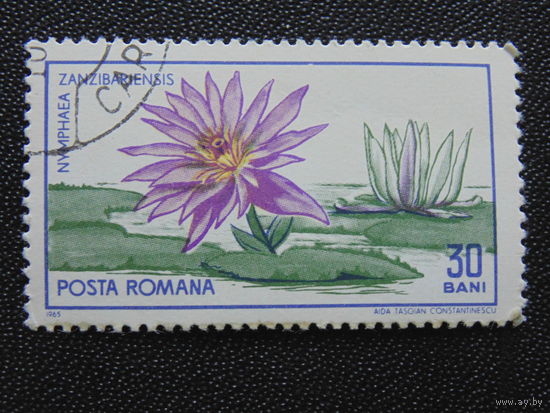 Румыния 1965 г. Цветы.