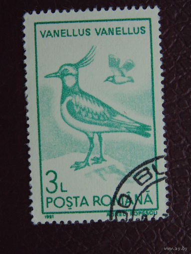 Румыния 1991 г. Птицы.