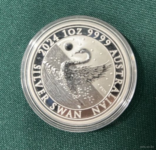 Лебеди 2024 австралия