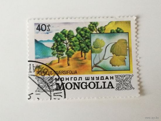 Монголия 1982. Деревья Монголии.