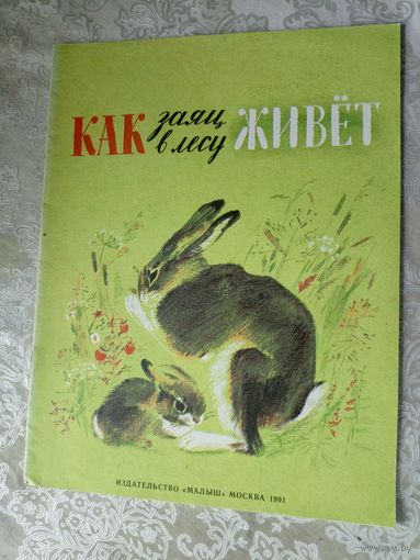 "Как заяц в лесу живет"\3