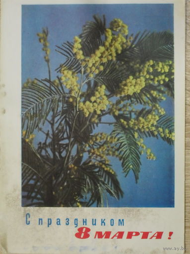 ПОДПИСАННАЯ ОТКРЫТКА СССР. ПРОШЕДШАЯ ПОЧТУ. "С ПРАЗДНИКОМ 8 МАРТА". ФОТО. П. И. СМОЛЯКОВА. 1967 год.