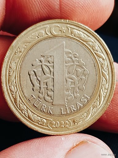 Распродажа - 1 лира 2022г.,Турция
