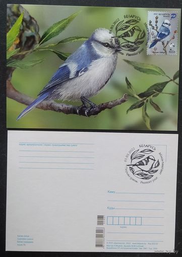 Беларусь 2022 КМ птица года, белая синица .