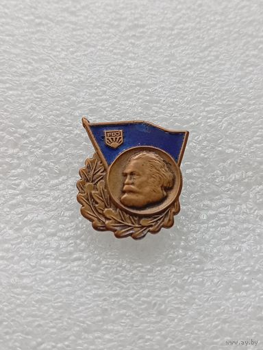 Значок ГДР. #-VI-06