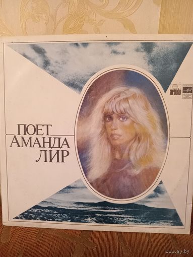 Виниловая пластинка